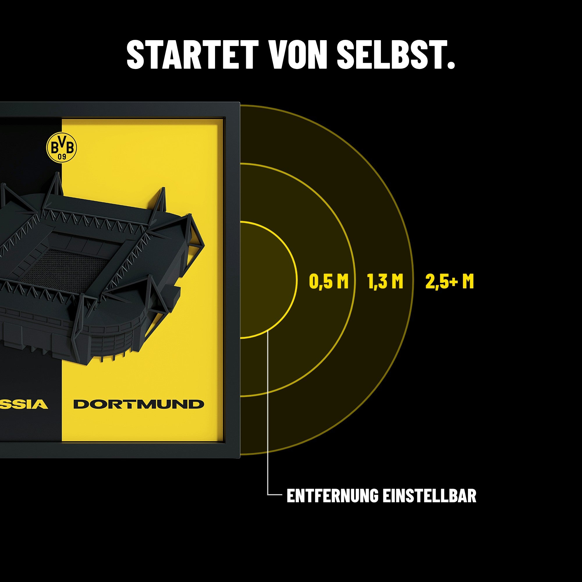 BVB FanBox Gänsehaut-Sensor: startet von selbst, Entfernung einstellbar (0,5 m, 1,3 m, 2,5+ m)