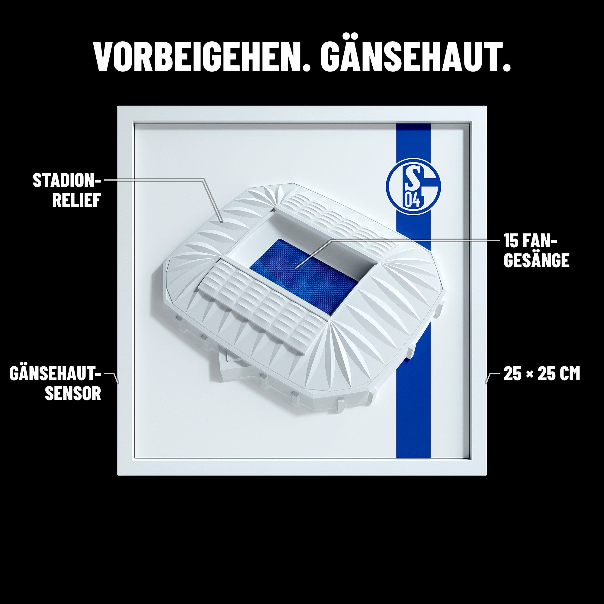 Schalke 04 FanBox Features: Stadion-Relief, 15 Fan-Gesänge, Gänsehaut-Sensor, 25 × 25 cm