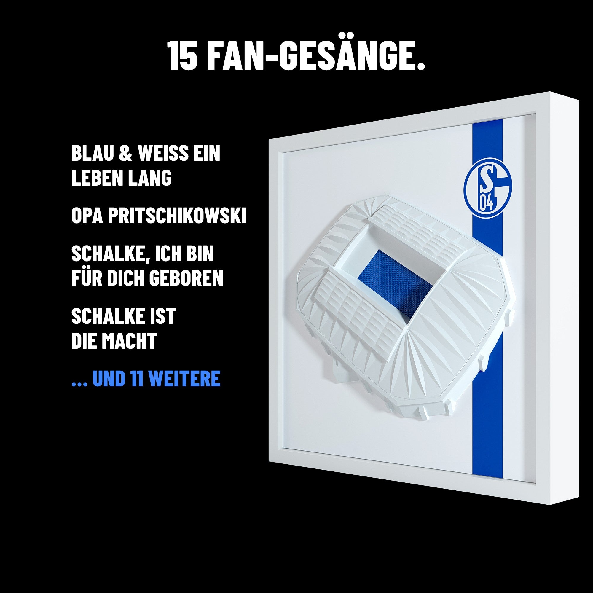 Schalke 04 FanBox mit 15 Fan-Gesängen, u. a. Blau & Weiss ein Leben lang, Opa Pritschikowski, Schalke ist die Macht