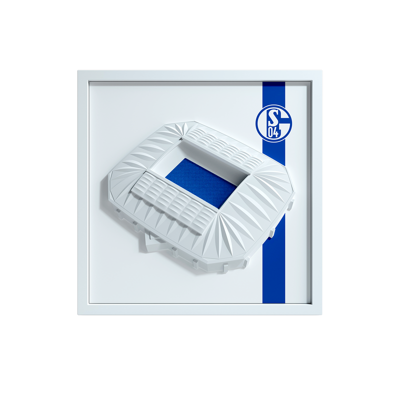 Schalke 04 FanBox
