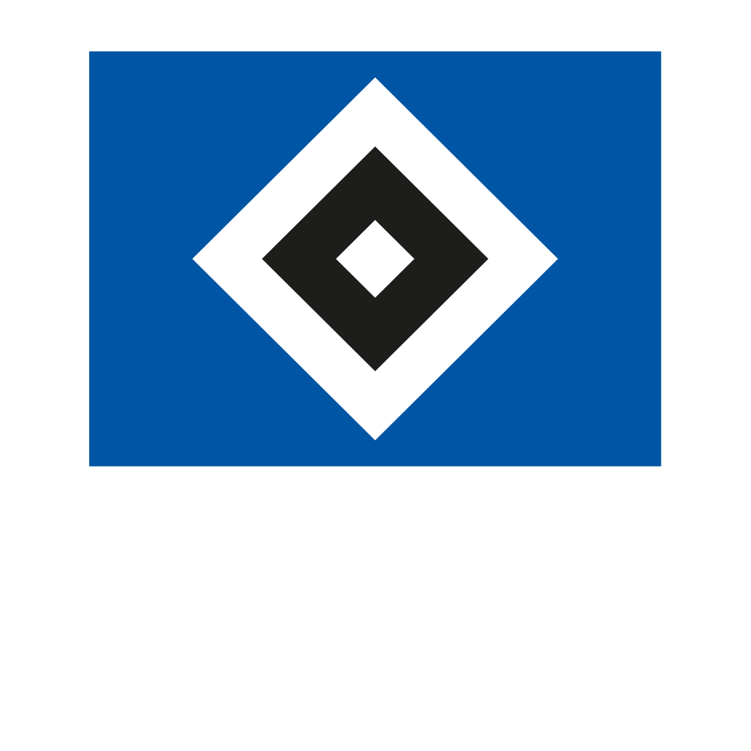 Offizielles HSV Lizenzprodukt