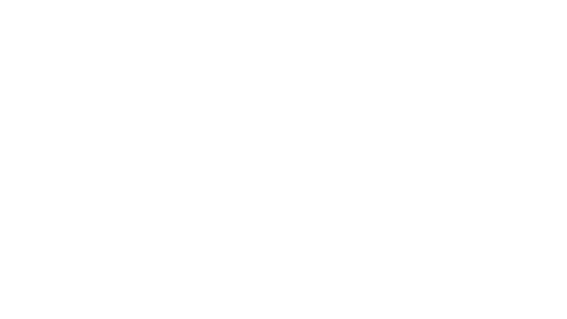 HSV Fanshop