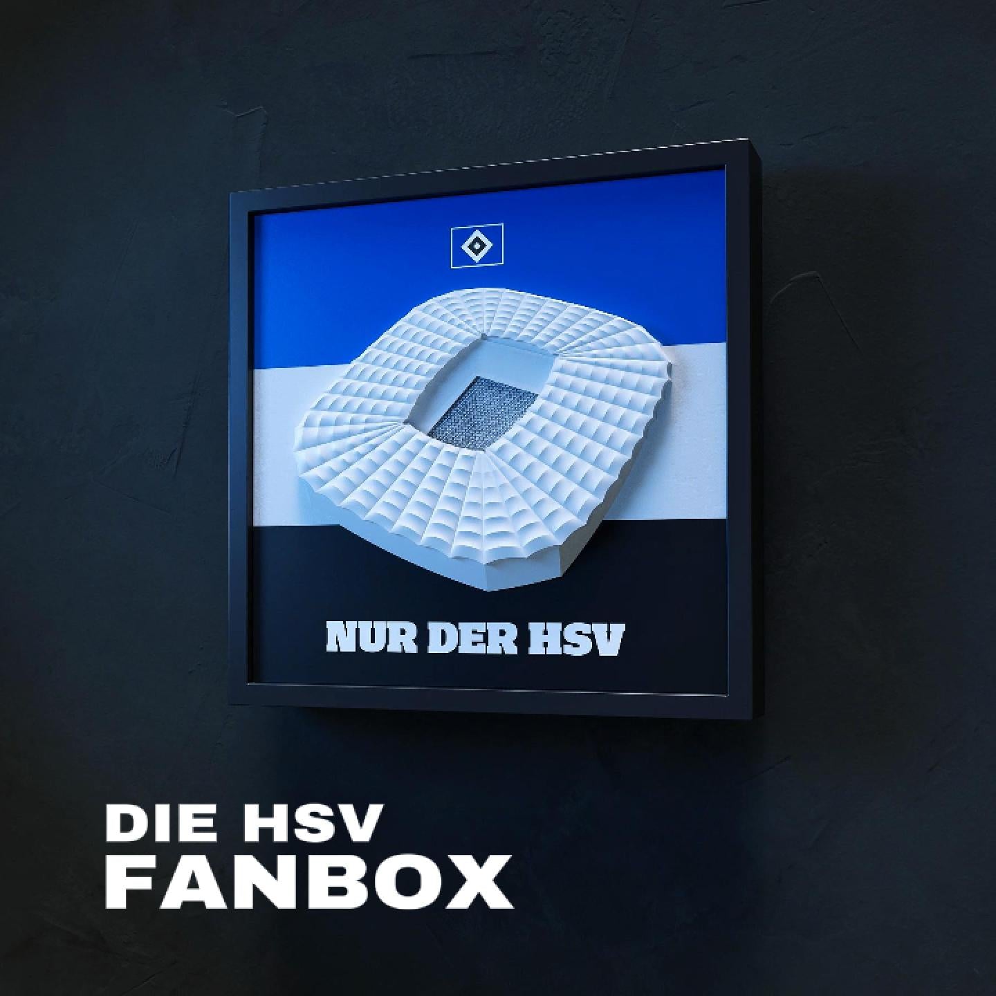 HSV FanBox - Special Edition "Wir sind wieder da"